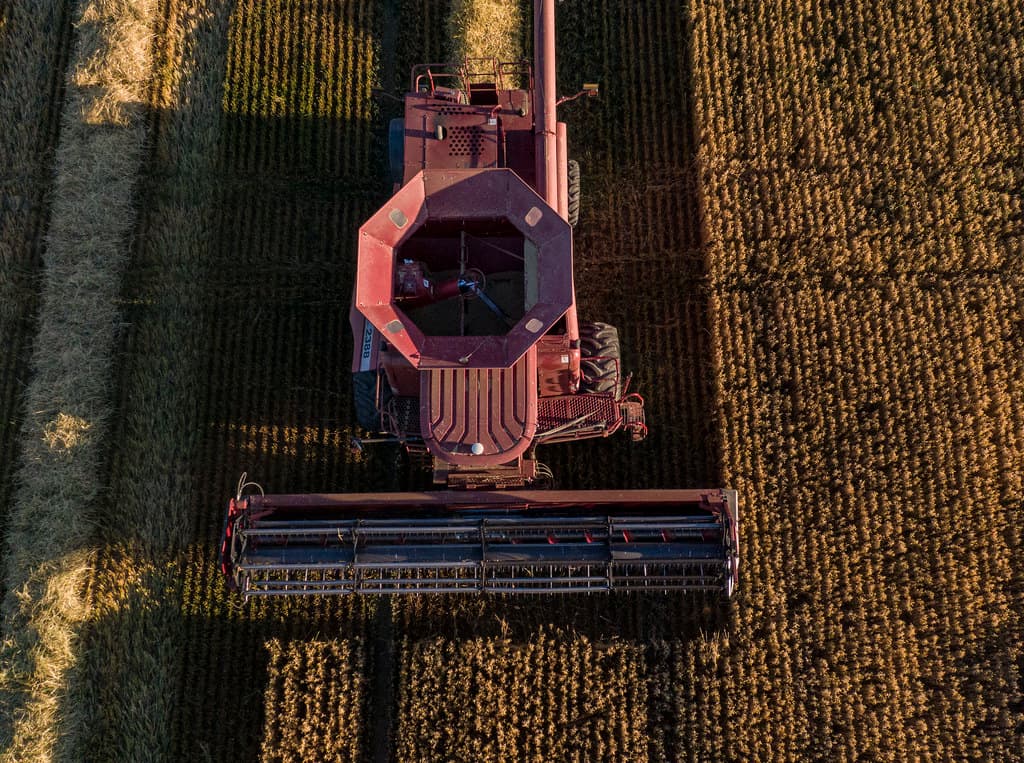 Cosechadora trabajando una parcela de cereal, vista aérea